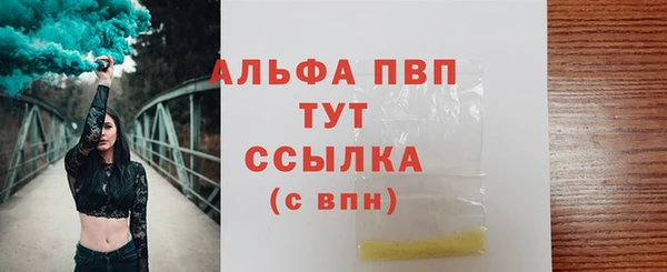 индика Алексин