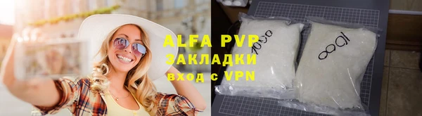 индика Алексин