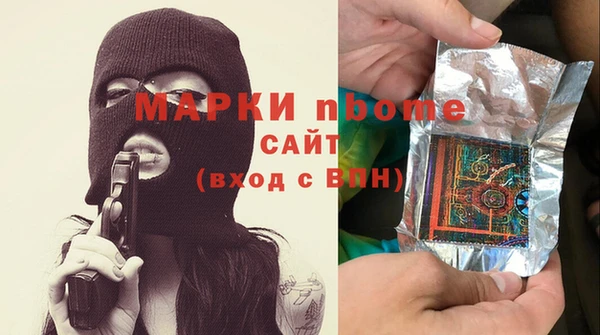 индика Алексин