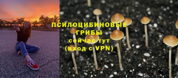 индика Алексин
