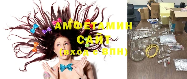 индика Алексин