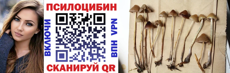 Псилоцибиновые грибы мицелий  Георгиевск 
