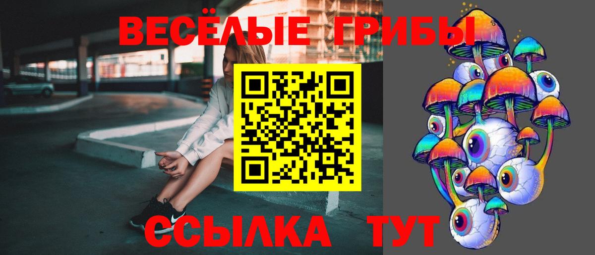 Галлюциногенные грибы Psilocybine cubensis  Вход с VPN  купить закладку  Псилоцибиновые грибы Psilocybine cubensis  Георгиевск 